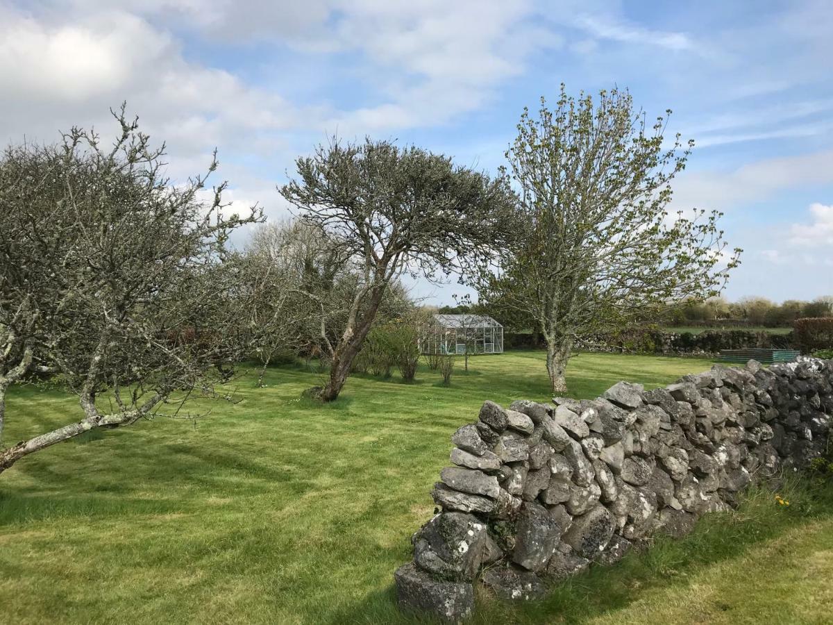 גלוואיי Corrib View Farmhouse מראה חיצוני תמונה